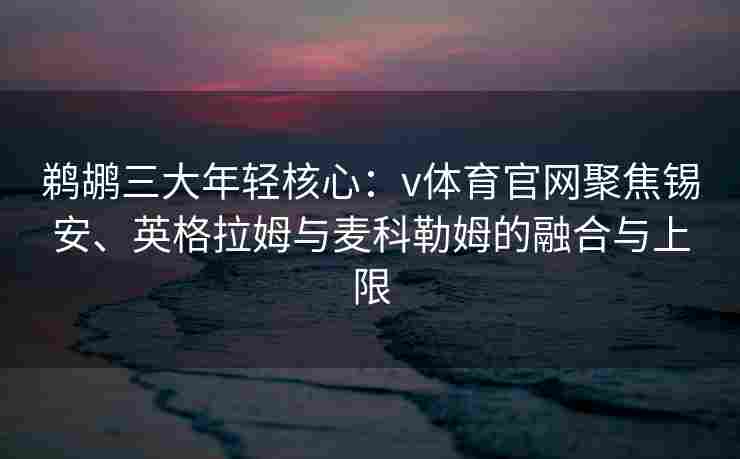 鹈鹕三大年轻核心：v体育官网聚焦锡安、英格拉姆与麦科勒姆的融合与上限