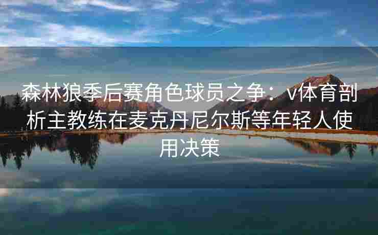 森林狼季后赛角色球员之争：v体育剖析主教练在麦克丹尼尔斯等年轻人使用决策