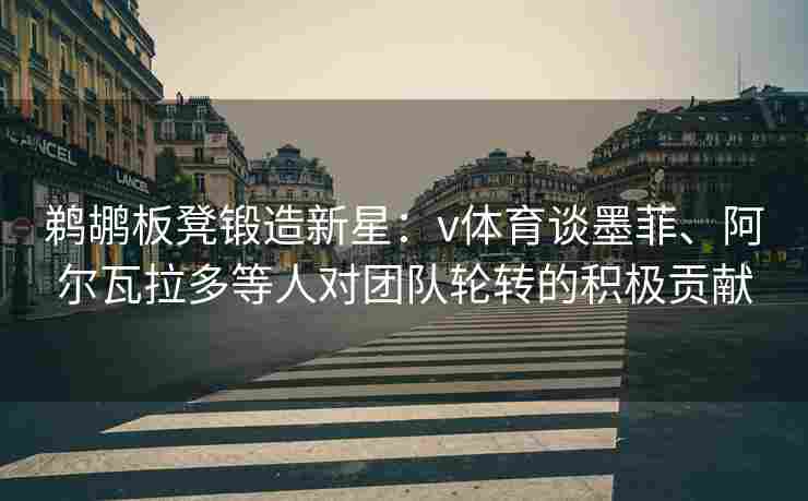 鹈鹕板凳锻造新星：v体育谈墨菲、阿尔瓦拉多等人对团队轮转的积极贡献